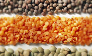 Lentils